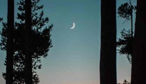 Lighthearted Good Night Quotes